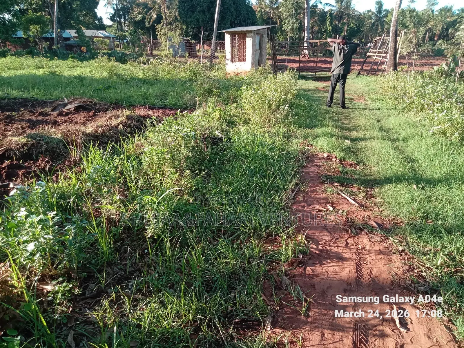 Prime 2-Acre Land for Sale in Vipingo Kadzinuni Clean Title | KSH 6m