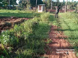 Prime 2-Acre Land for Sale in Vipingo Kadzinuni Clean Title | KSH 6m