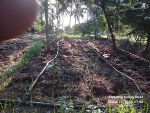 Prime 2-Acre Land for Sale in Vipingo Kadzinuni Clean Title | KSH 6m