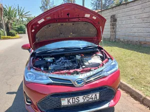 Toyota Corolla Fielder 2019 Red