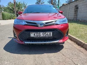 Toyota Corolla Fielder 2019 Red