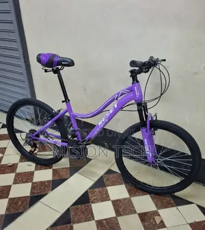 Reset 24-Inch Mountain Bike***