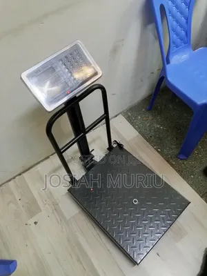 300KG Heavy Duty Floor Platform Scale
