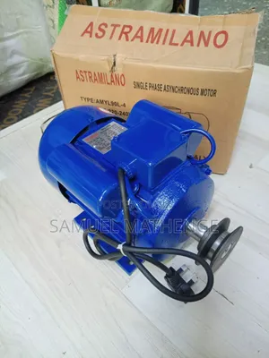 Astramilano 2HP High-Performance Motor
