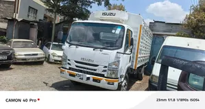 Isuzu Truck NQR on Quick Sale