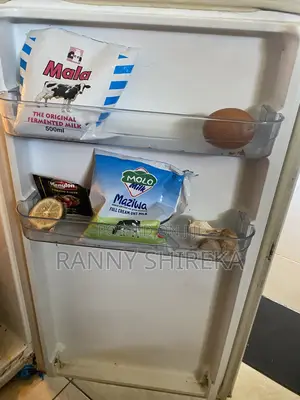 Ramtons Double Door 138L Fridge