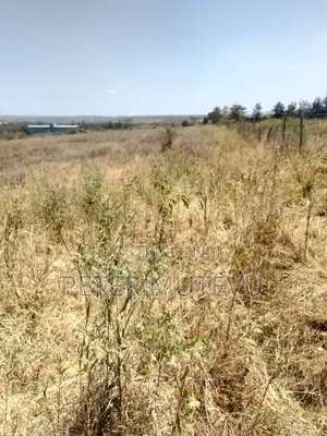 2.5 Acre Land for Sale