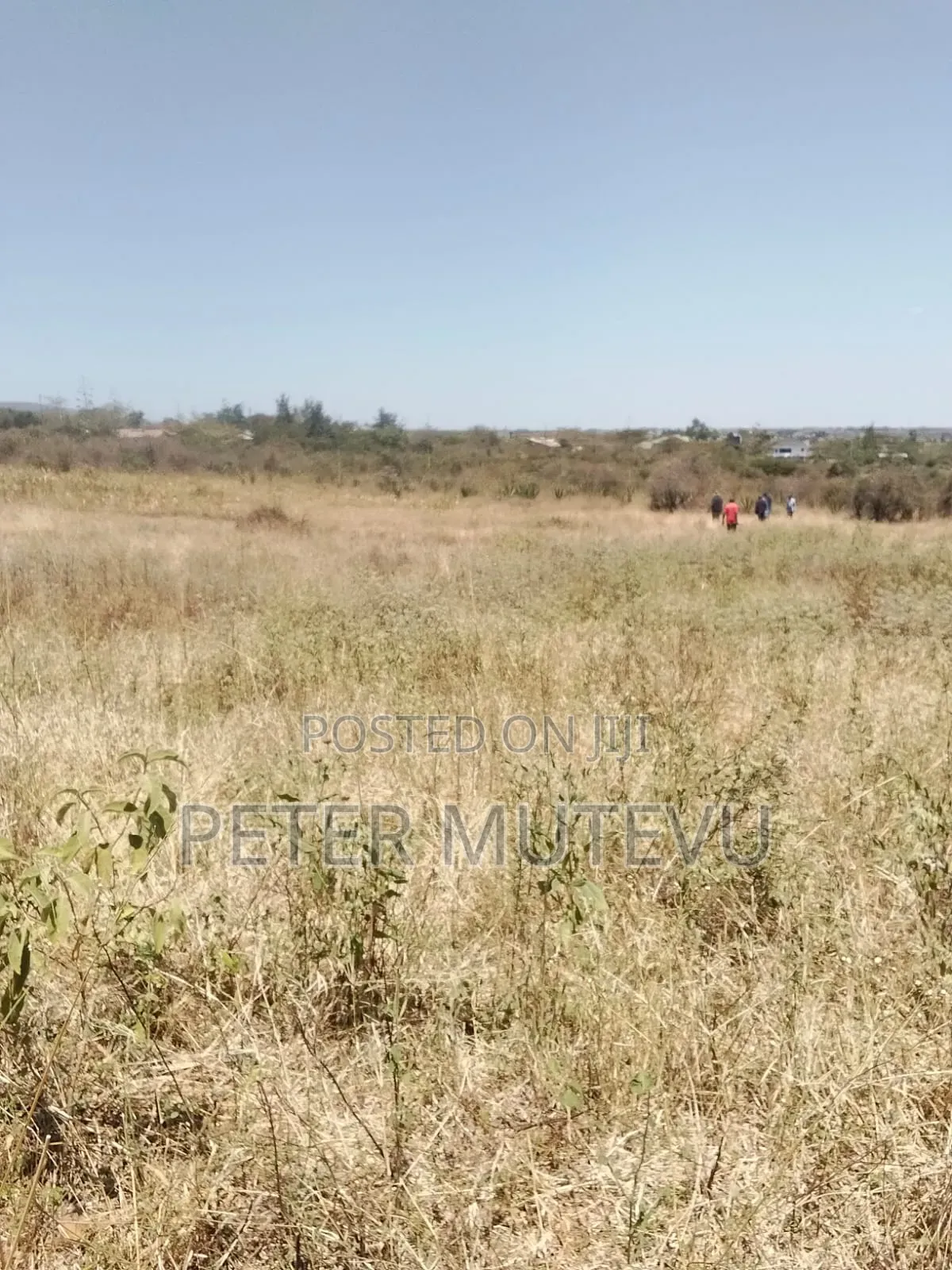 2.5 Acre Land for Sale