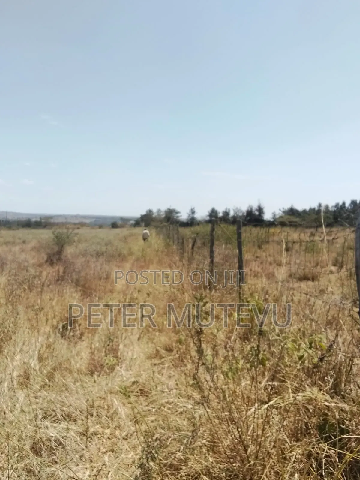 2.5 Acre Land for Sale