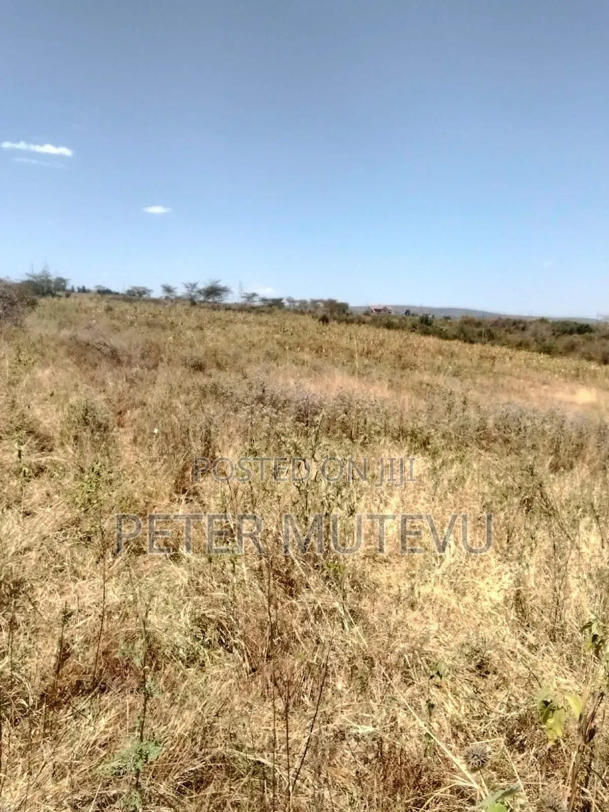 2.5 Acre Land for Sale