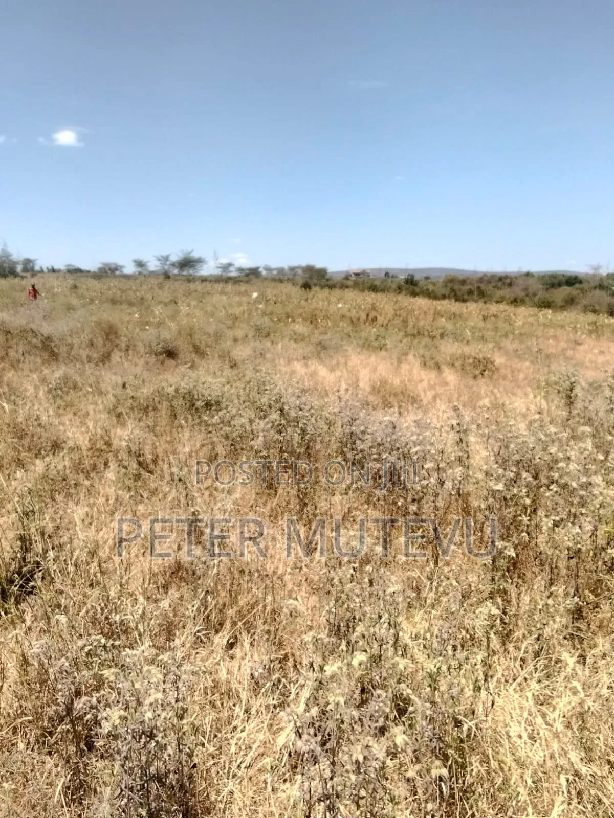 2.5 Acre Land for Sale