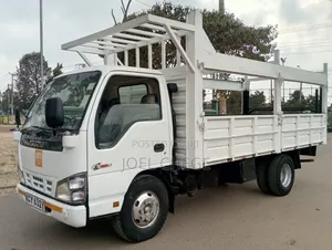 ISUZU NKR 3.3 Local Year 2020