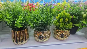 Green Bonsai Potted Plant