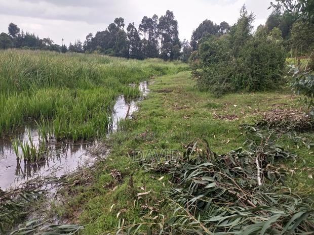 Land for Sale in Dundori