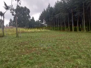 Land for Sale in Dundori