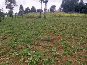 Land for Sale in Dundori