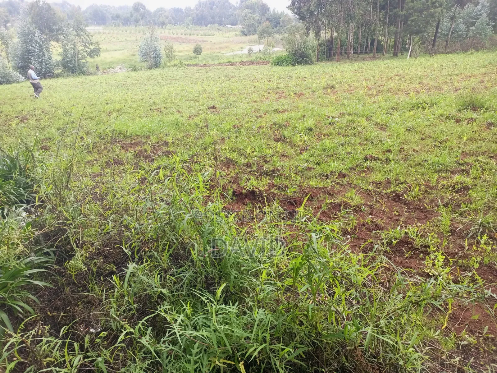 Land for Sale in Dundori