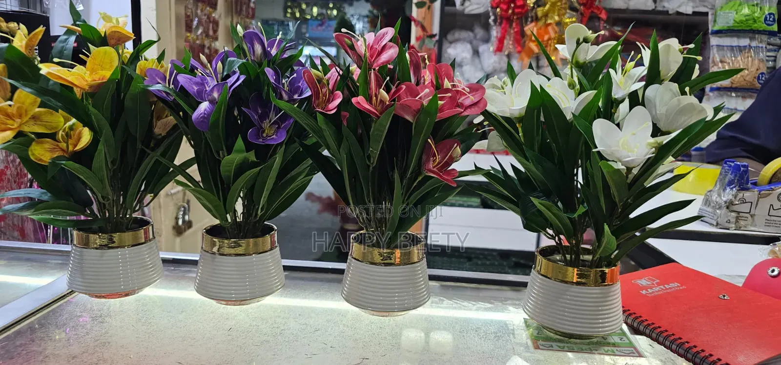 Potted Floral Min Plants