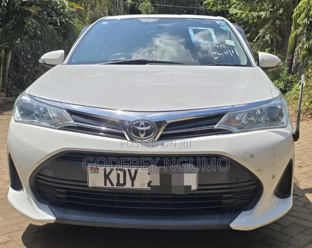 Toyota Axio 2019 White