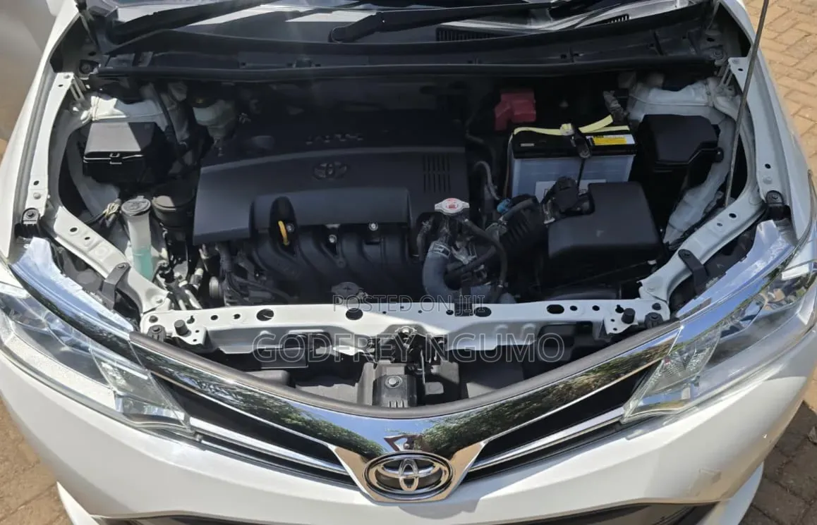 Toyota Axio 2019 White