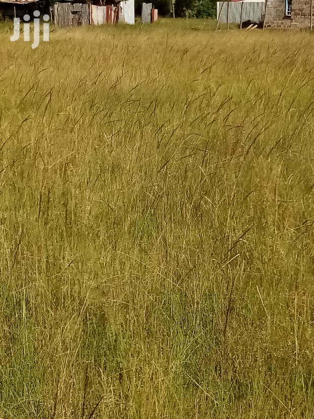 Mugutha Plot for Sale.