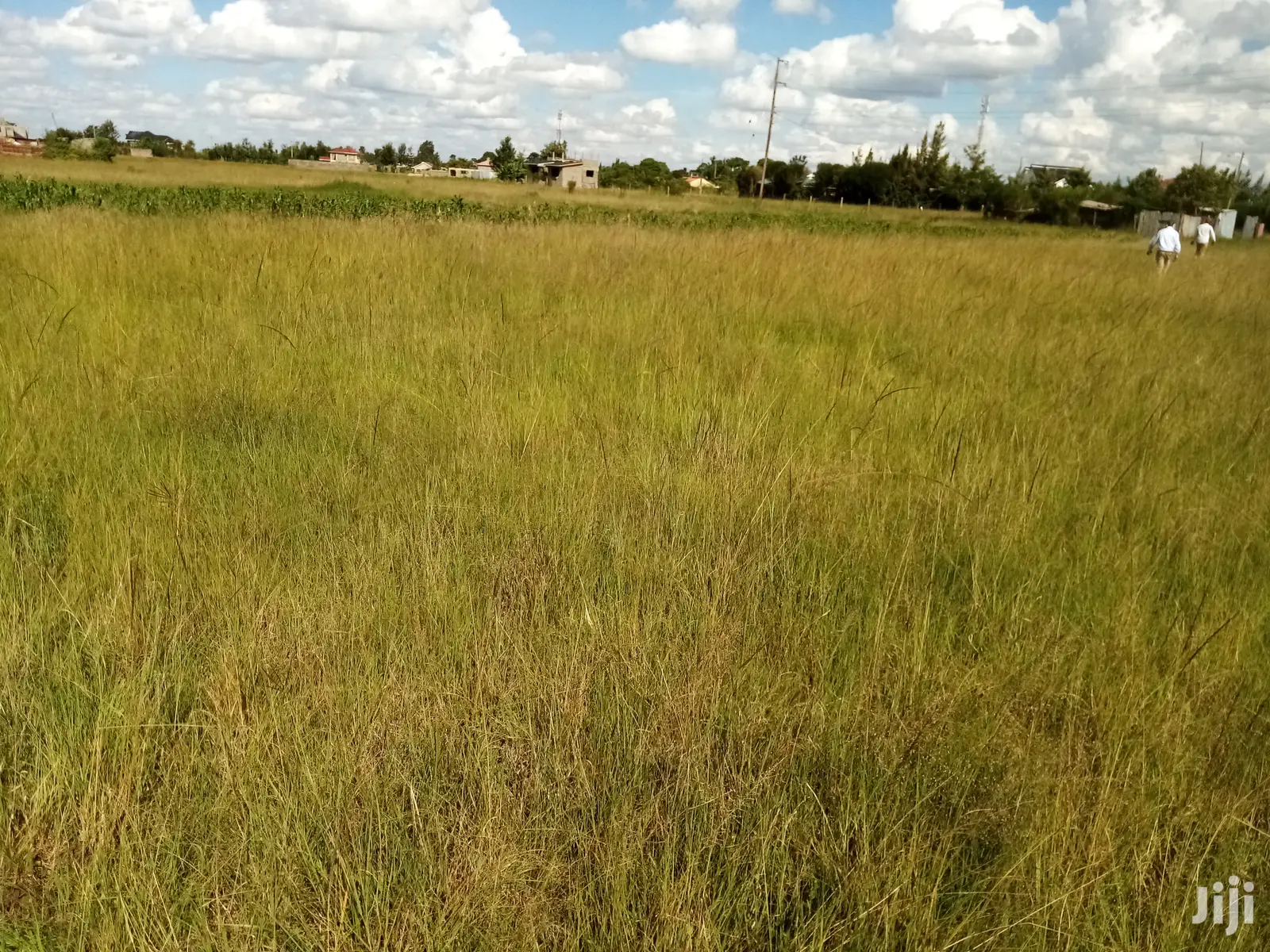 Mugutha Plot for Sale.