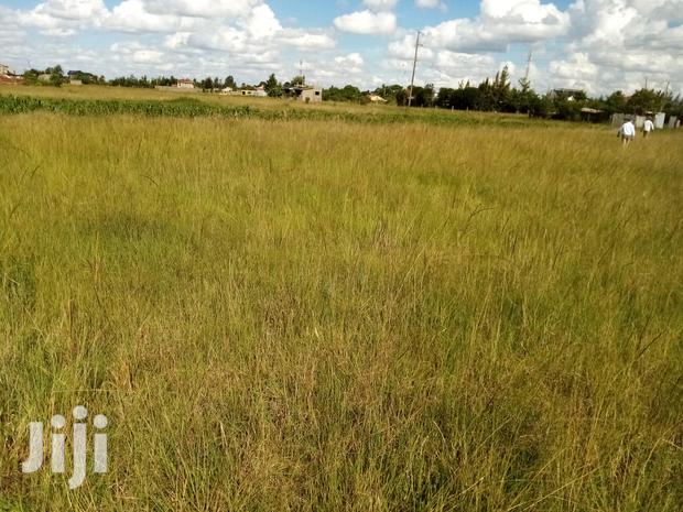 Mugutha Plot for Sale. - thumbnail 2