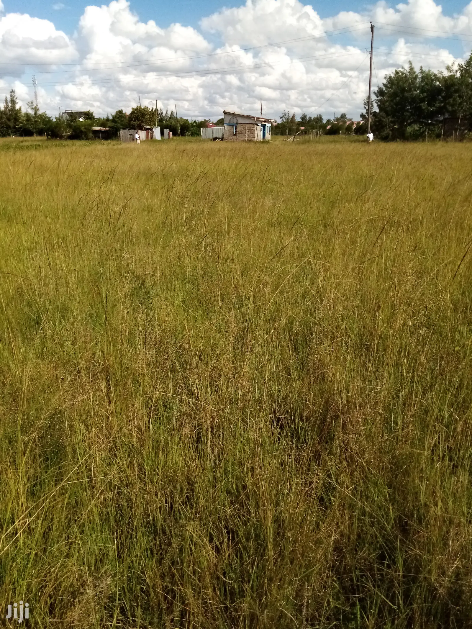 Mugutha Plot for Sale.