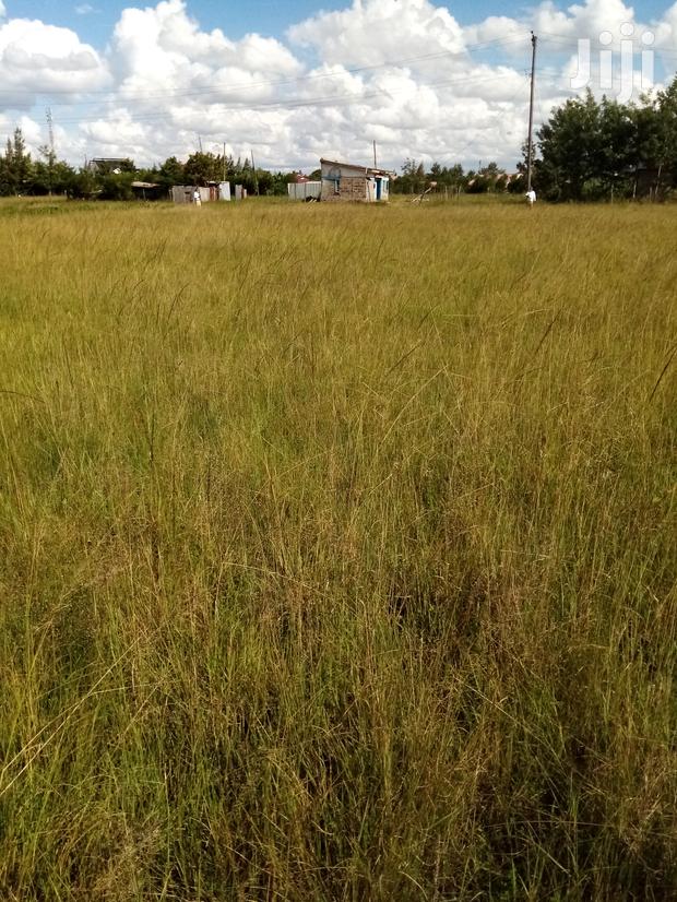 Mugutha Plot for Sale. - thumbnail 3
