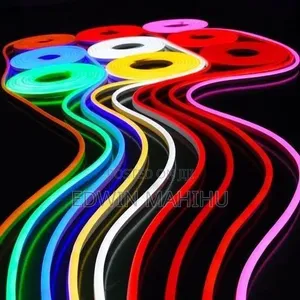 Multi Coloured Neon Snake Light