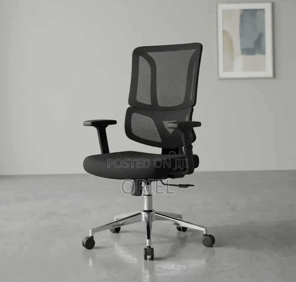 Modern Office Chair : Adjustable Lumbar Office Chair