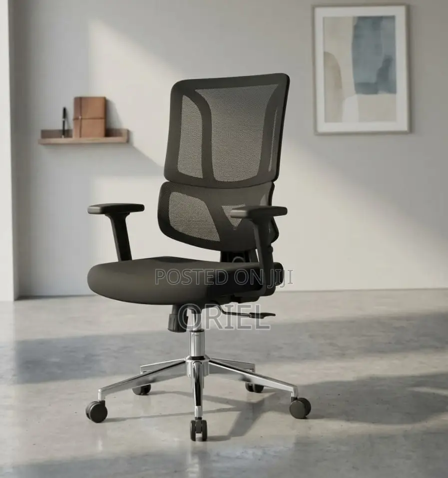 Modern Office Chair : Adjustable Lumbar Office Chair