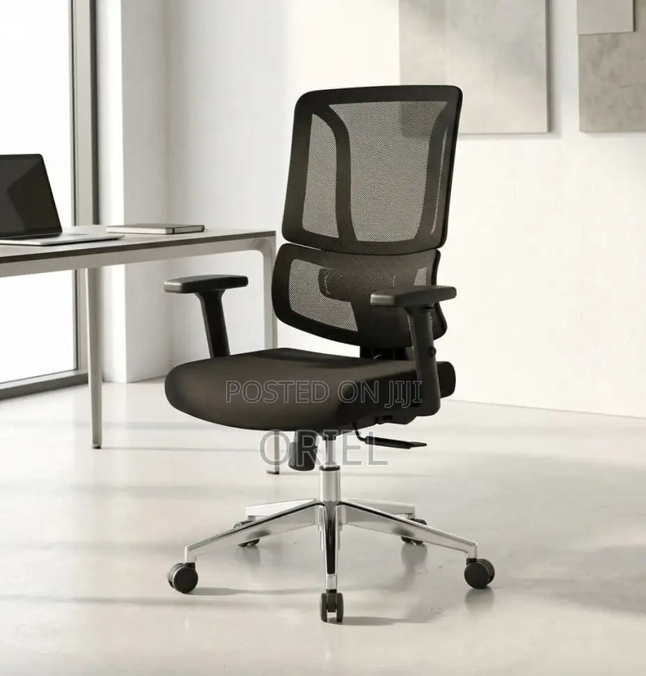 Modern Office Chair : Adjustable Lumbar Office Chair