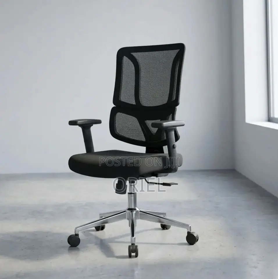 Modern Office Chair : Adjustable Lumbar Office Chair
