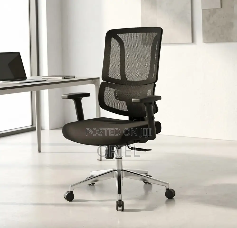 Modern Office Chair : Adjustable Lumbar Office Chair