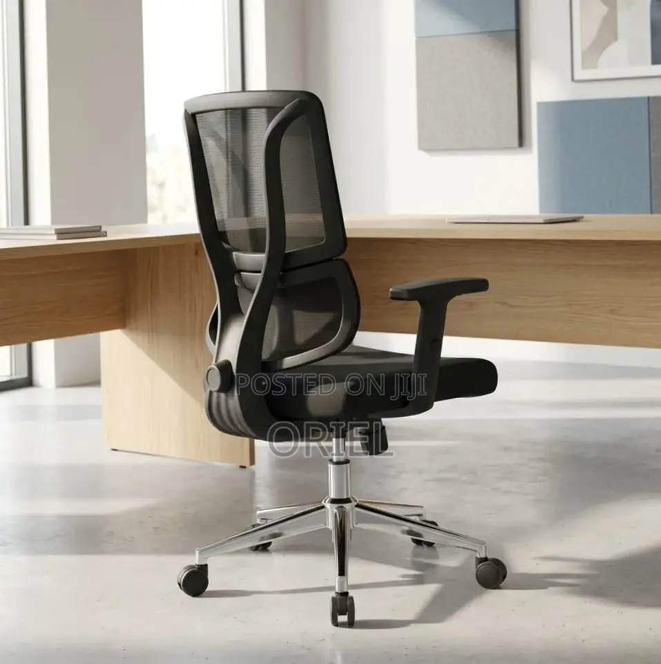 Modern Office Chair : Adjustable Lumbar Office Chair