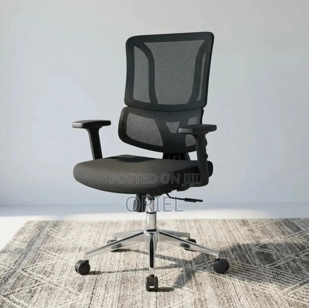 Modern Office Chair : Adjustable Lumbar Office Chair