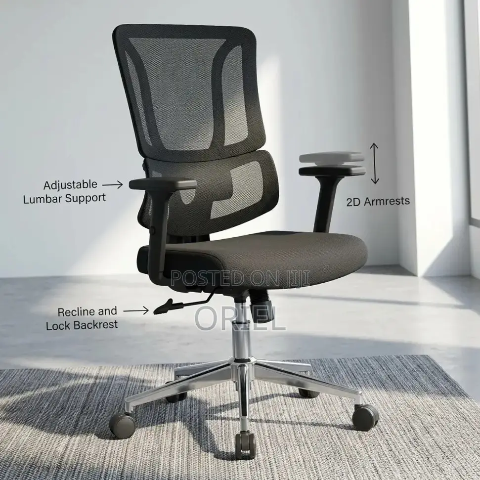 Modern Office Chair : Adjustable Lumbar Office Chair