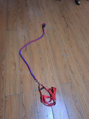 Leash Harness With Collar