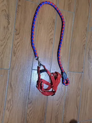 Leash With Collar