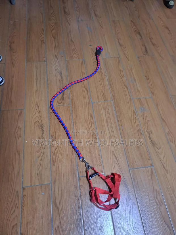 Dog Leash Harnes