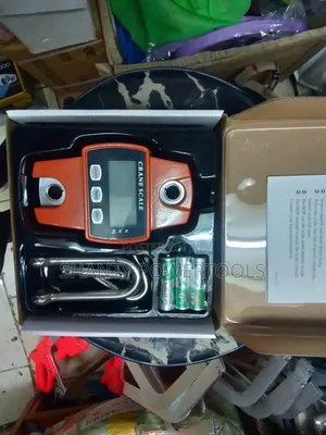 300kg Digital Mini Crane Scale