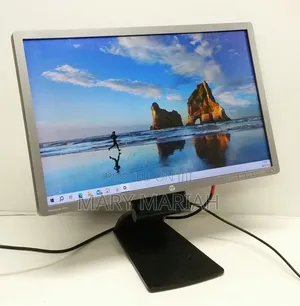 HP Display Monitors