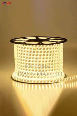 Triple Line Warm White Snake Light