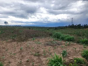 Real Estate - Plots for Sale