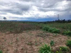 Real Estate - Plots for Sale