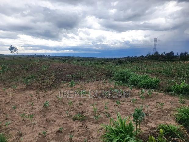 Real Estate - Plots for Sale