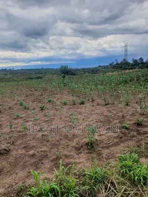 Real Estate - Plots for Sale