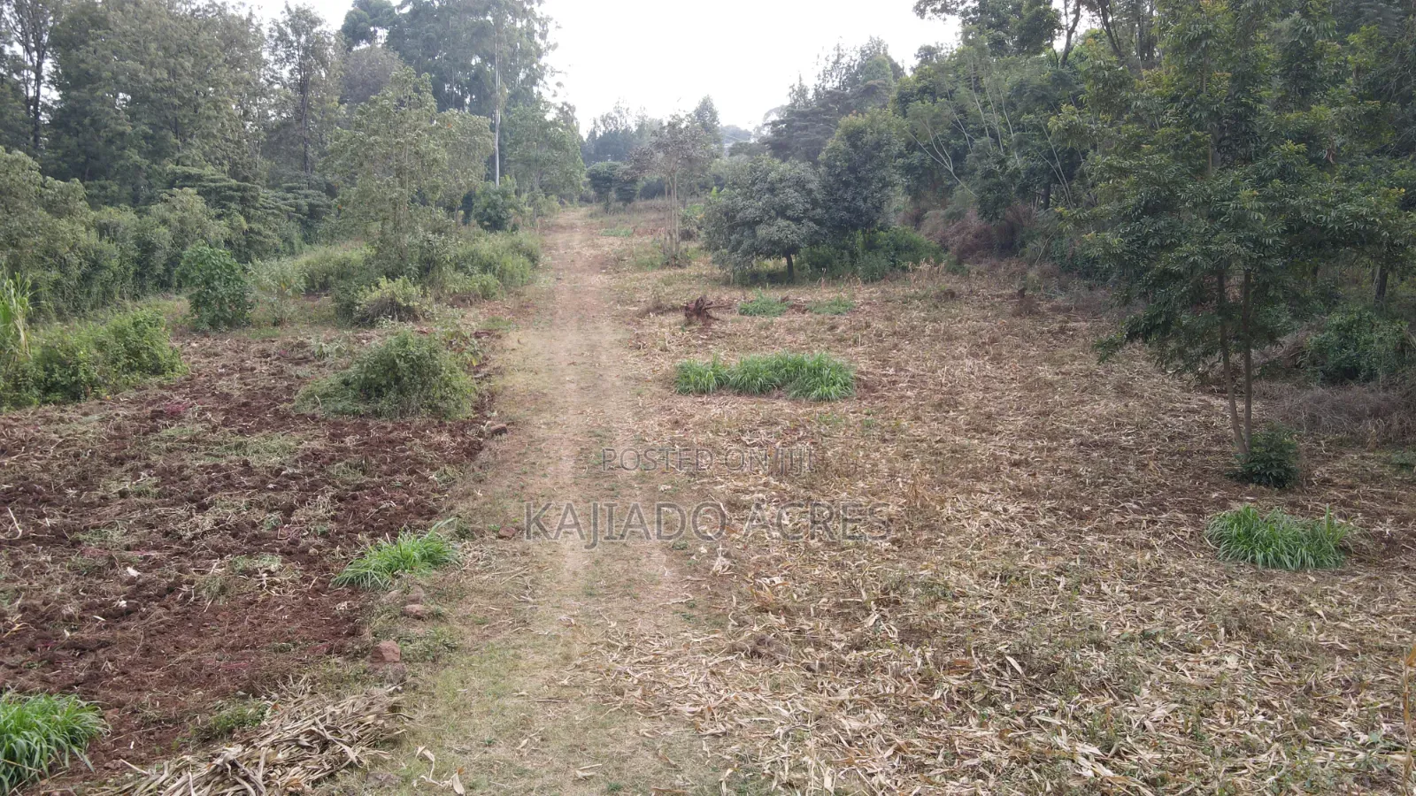 1/8 Acres Nhonh,maasai Road at 3m