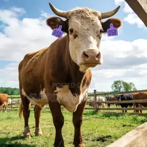 Livestock Traceability Ear Tag - Large